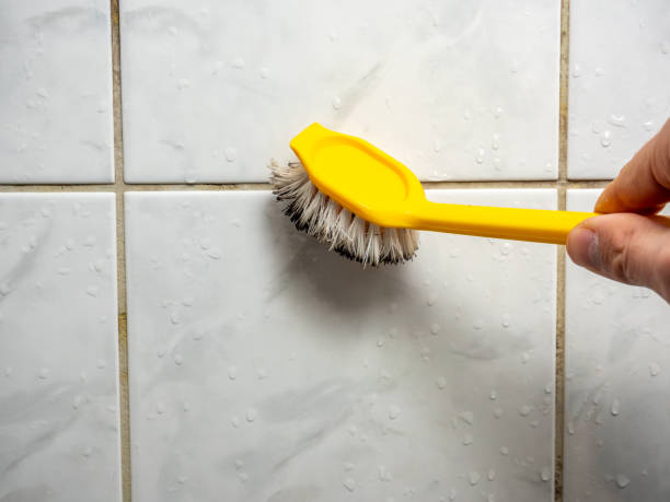 Best Office Mold Removal Services  in Lake Don Pedro, CA