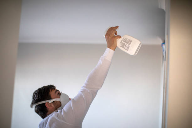 Best Crawl Space Mold Removal  in Lake Don Pedro, CA