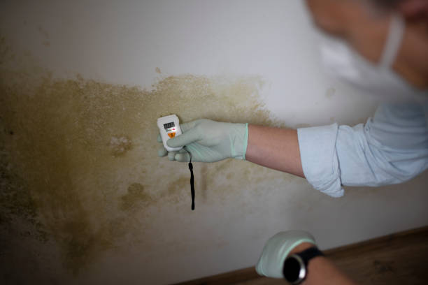 Best Mold Cleaning Services  in Lake Don Pedro, CA