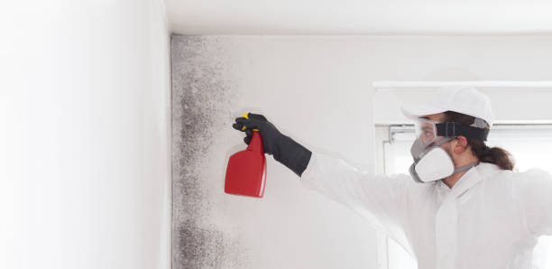Best Residential Mold Removal  in Lake Don Pedro, CA