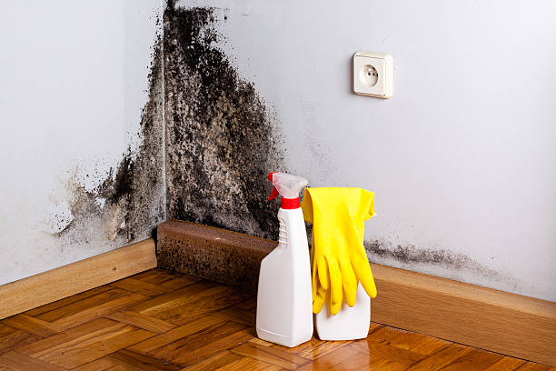 Best Emergency Mold Removal  in Lake Don Pedro, CA