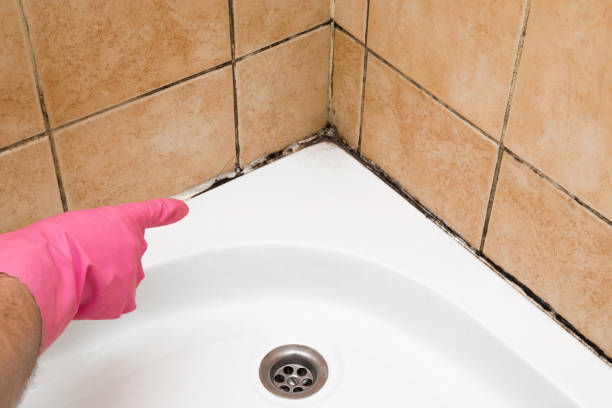 Best Mold Testing  in Lake Don Pedro, CA